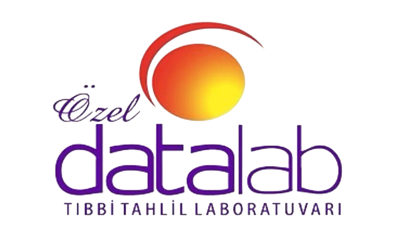 datalab